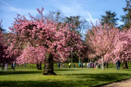Fonds vert 2026 : comment amplifier la transition de votre territoire grâce aux financements de l'État